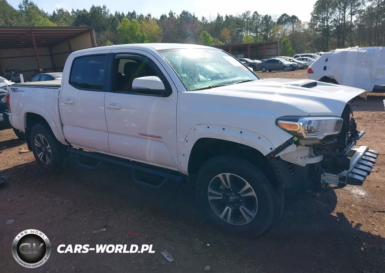 2019 Toyota Tacoma Trd Sport – zdjęcie 1 z 17