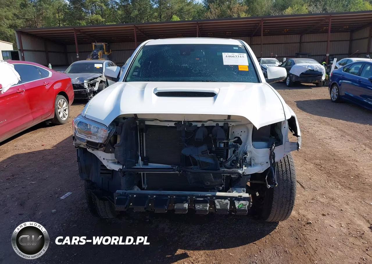 2019 Toyota Tacoma Trd Sport VIN:5TFAZ5CN1KX075444 - 13