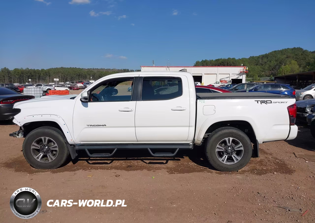 2019 Toyota Tacoma Trd Sport VIN:5TFAZ5CN1KX075444 - 15