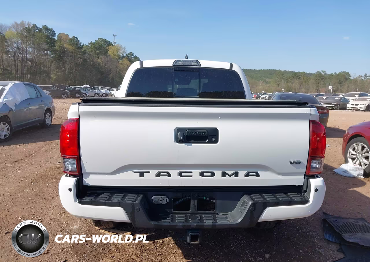 2019 Toyota Tacoma Trd Sport VIN:5TFAZ5CN1KX075444 - 17