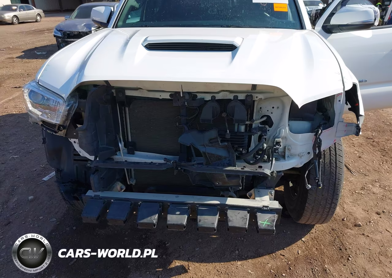 2019 Toyota Tacoma Trd Sport VIN:5TFAZ5CN1KX075444 - 6