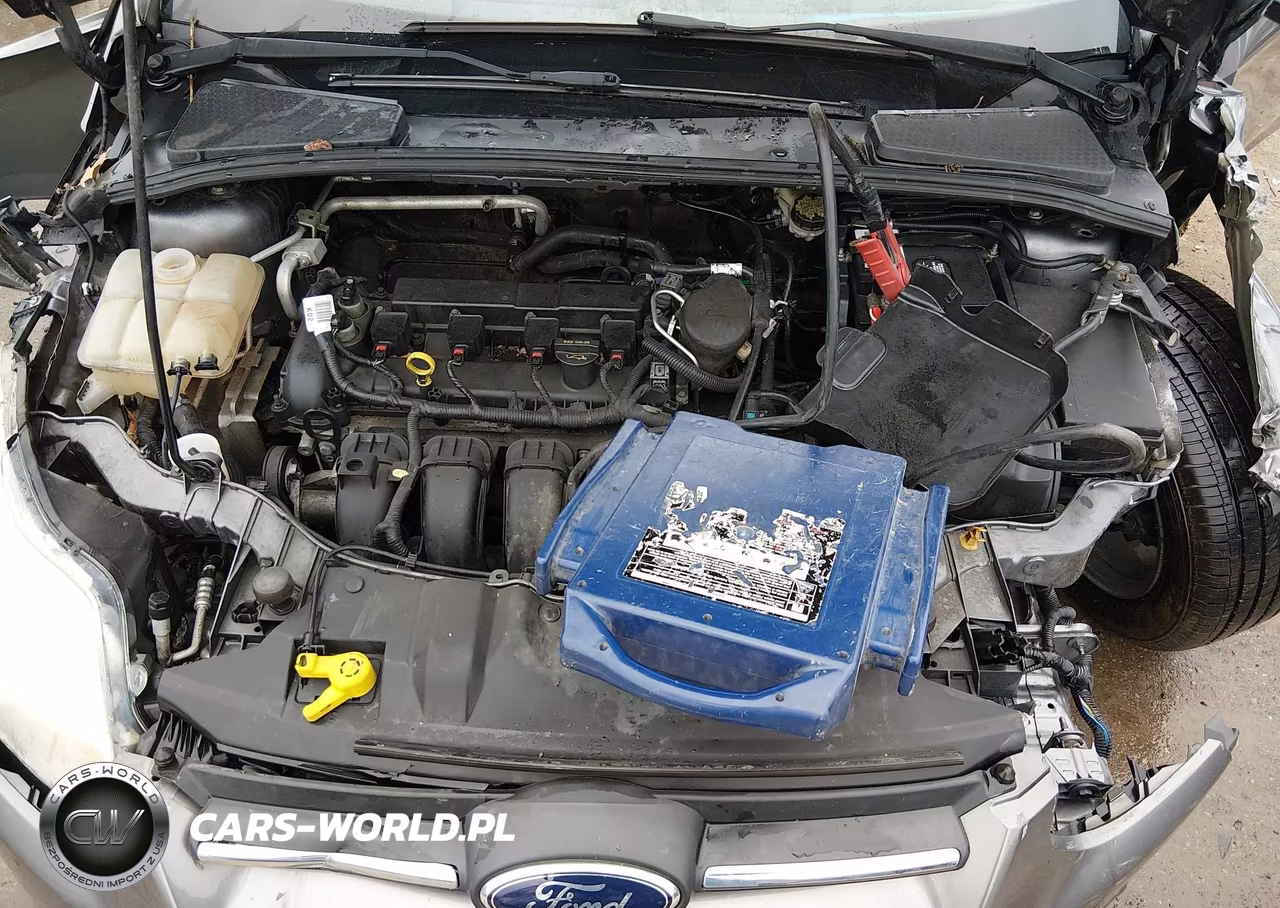 2014 Ford Focus Se VIN:1FADP3F26EL252953 - 10