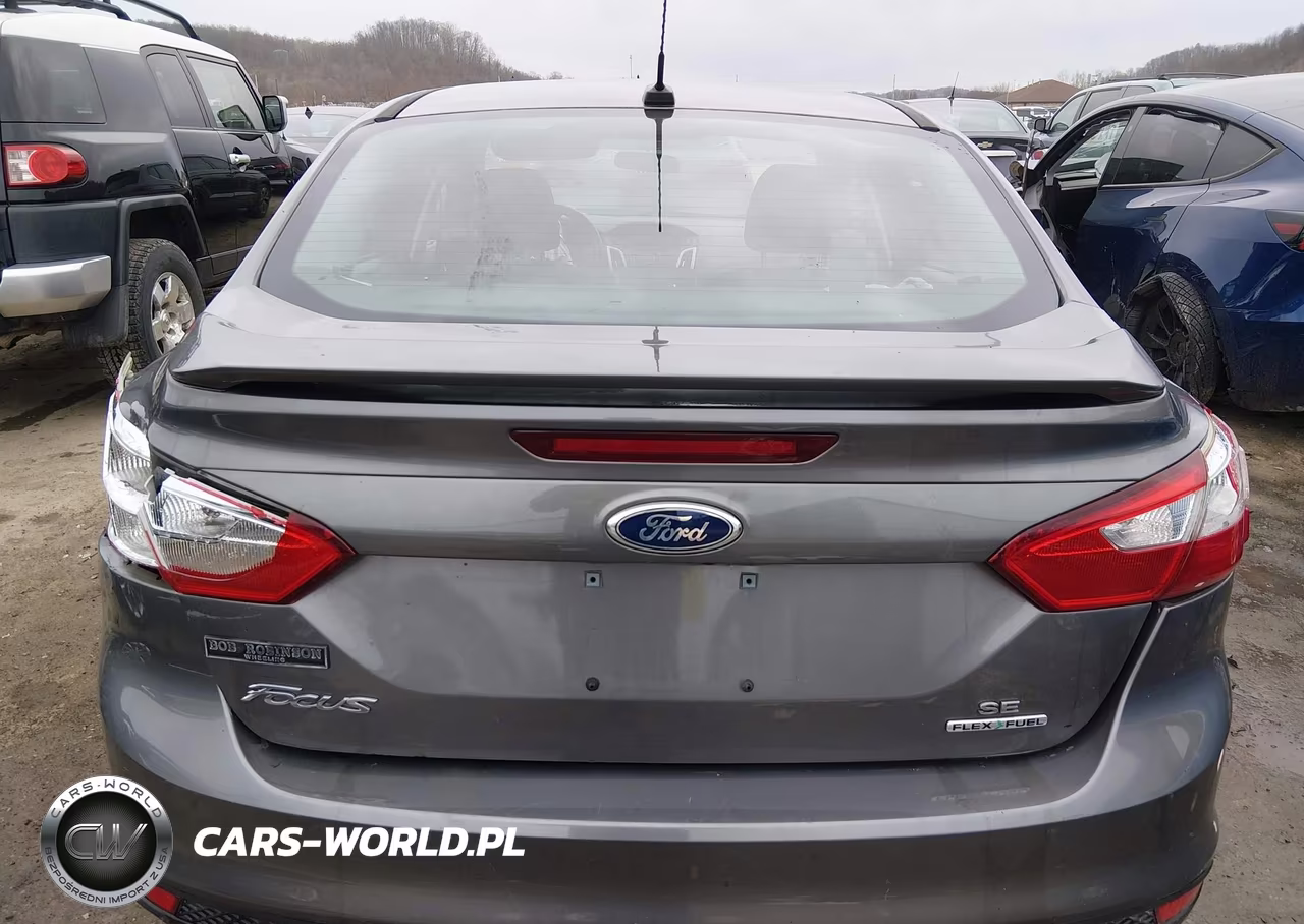 2014 Ford Focus Se VIN:1FADP3F26EL252953 - 16