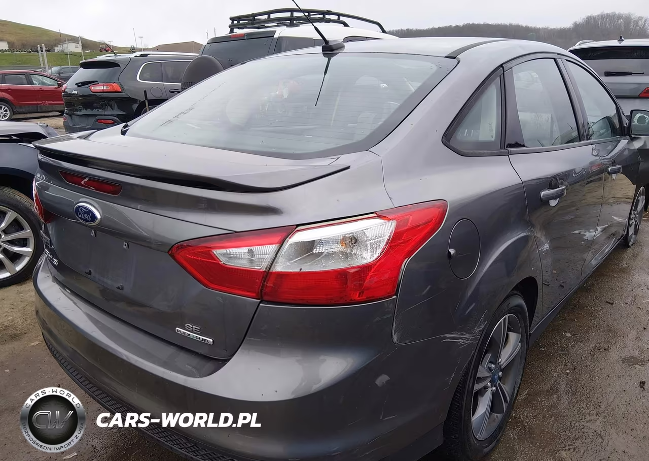 2014 Ford Focus Se VIN:1FADP3F26EL252953 - 4