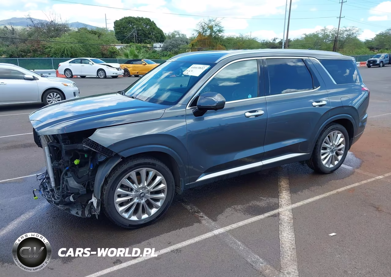 2020 Hyundai Palisade Limited VIN:KM8R5DHE1LU124822 - 2