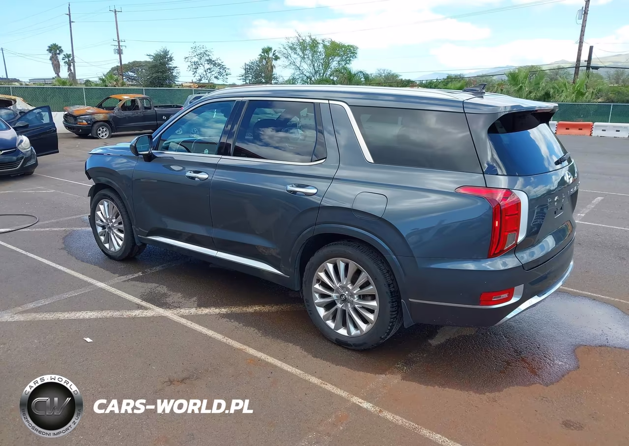 2020 Hyundai Palisade Limited VIN:KM8R5DHE1LU124822 - 3