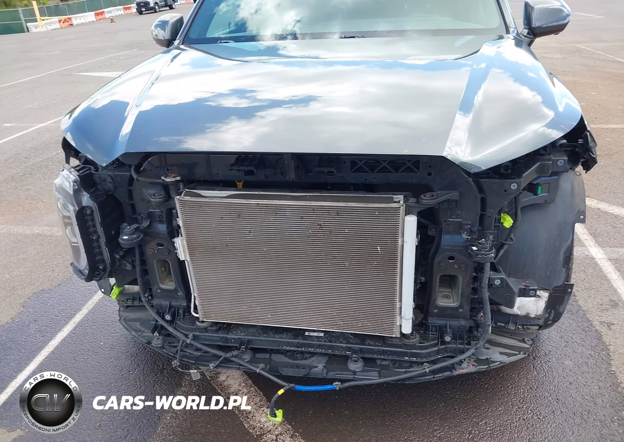 2020 Hyundai Palisade Limited VIN:KM8R5DHE1LU124822 - 6