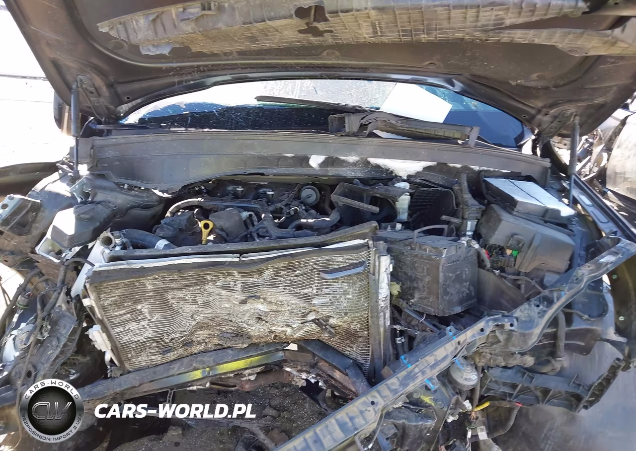 2023 Kia Telluride Sx VIN:5XYP54GC5PG385020 - 10