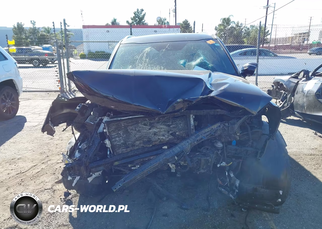 2023 Kia Telluride Sx VIN:5XYP54GC5PG385020 - 11