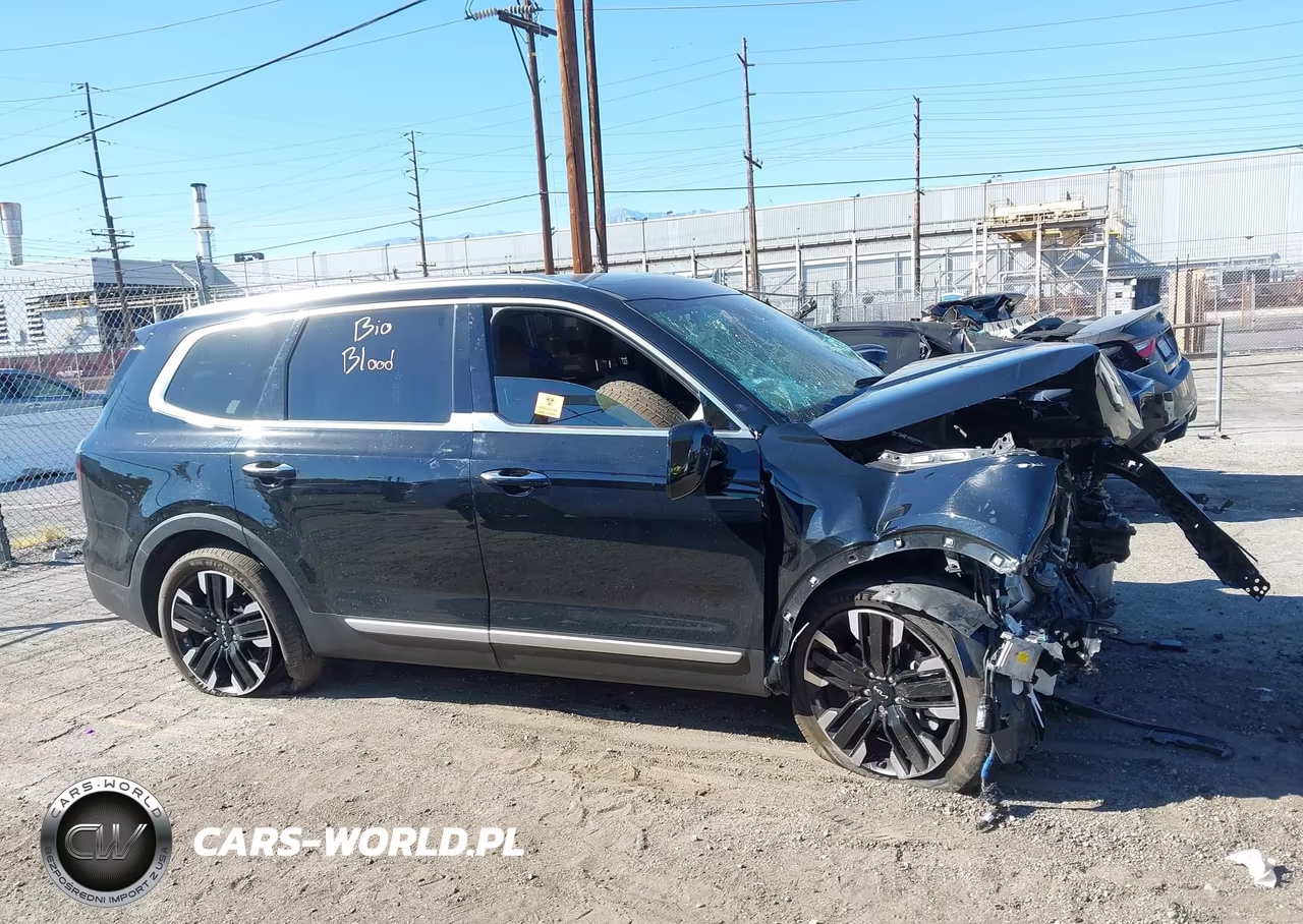 2023 Kia Telluride Sx VIN:5XYP54GC5PG385020 - 12