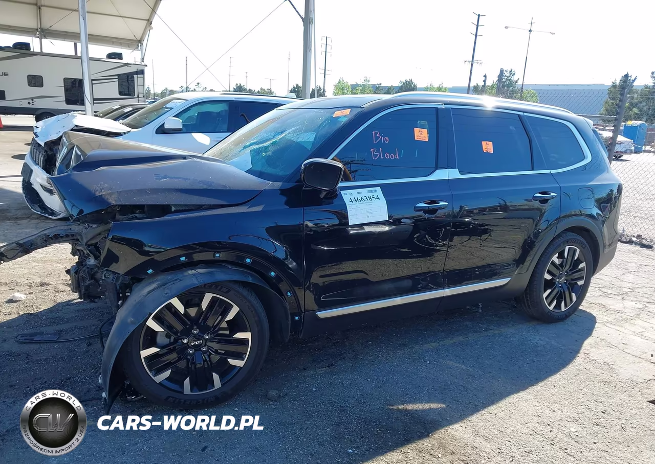 2023 Kia Telluride Sx VIN:5XYP54GC5PG385020 - 13