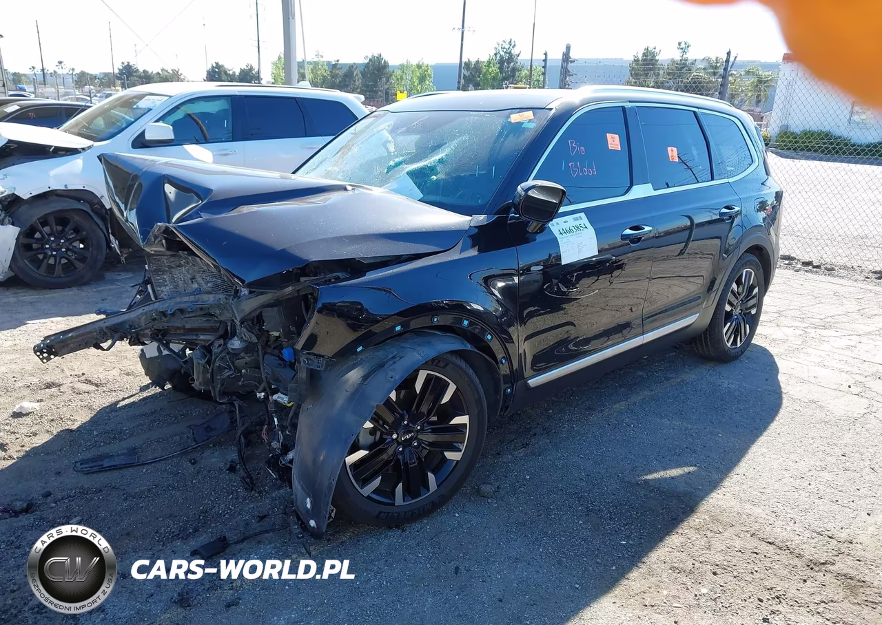 2023 Kia Telluride Sx VIN:5XYP54GC5PG385020 - 2