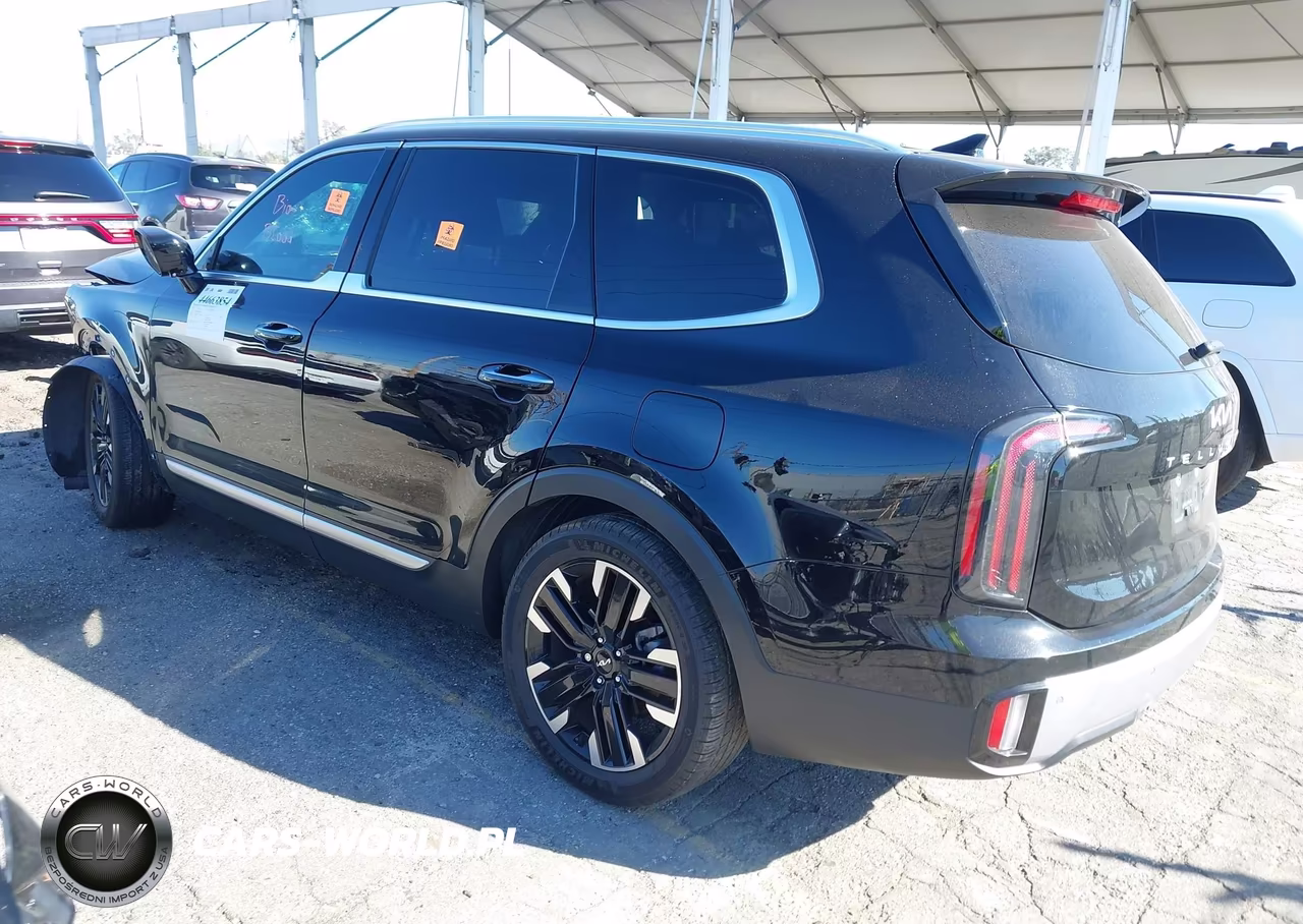 2023 Kia Telluride Sx VIN:5XYP54GC5PG385020 - 3