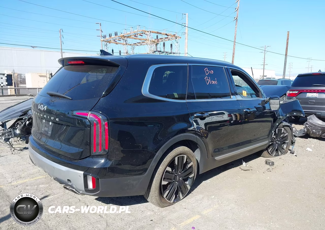 2023 Kia Telluride Sx VIN:5XYP54GC5PG385020 - 4