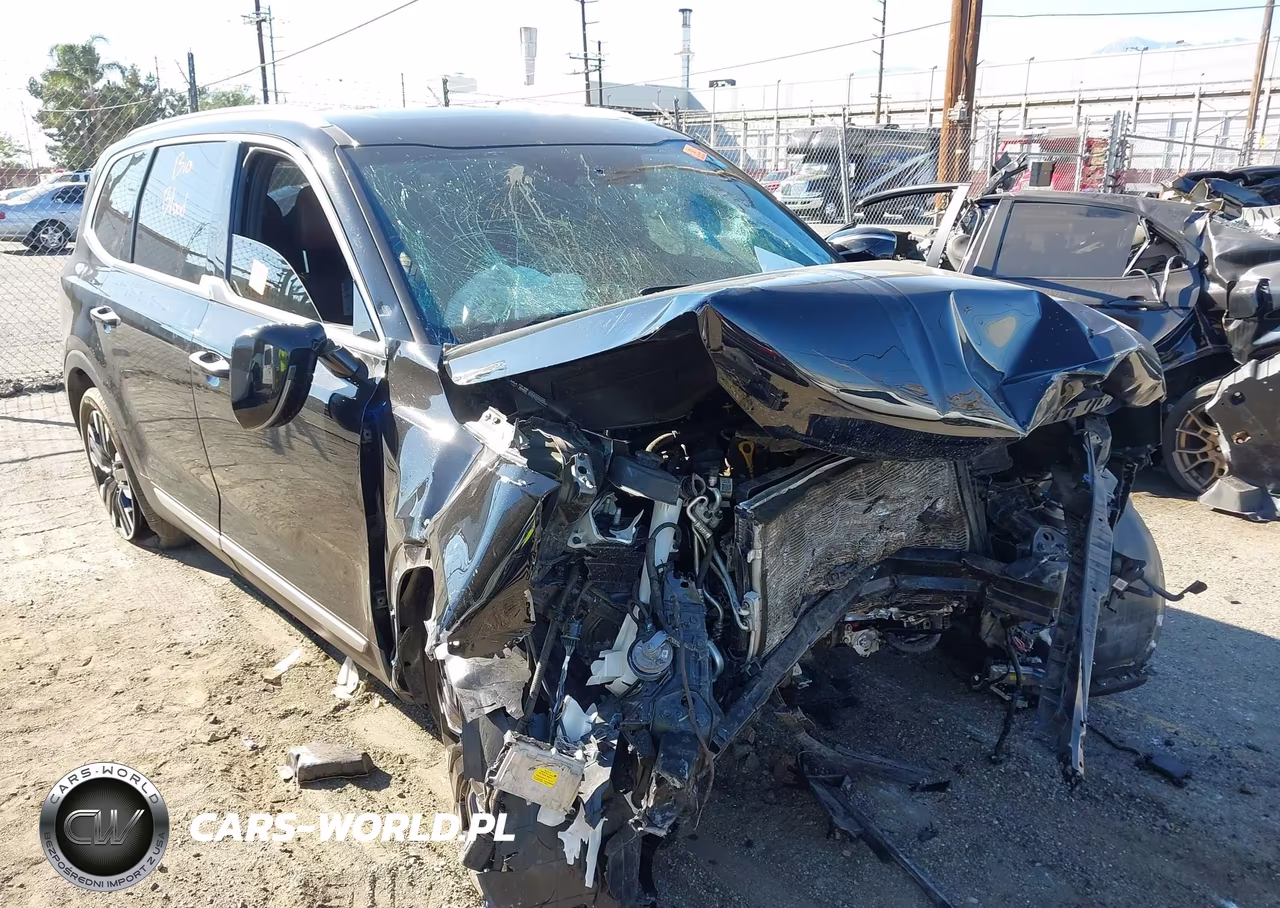 2023 Kia Telluride Sx VIN:5XYP54GC5PG385020 - 6