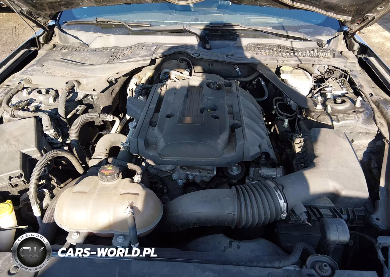 2019 Ford Mustang Ecoboost Premium VIN:1FATP8UH9K5188729 - 10