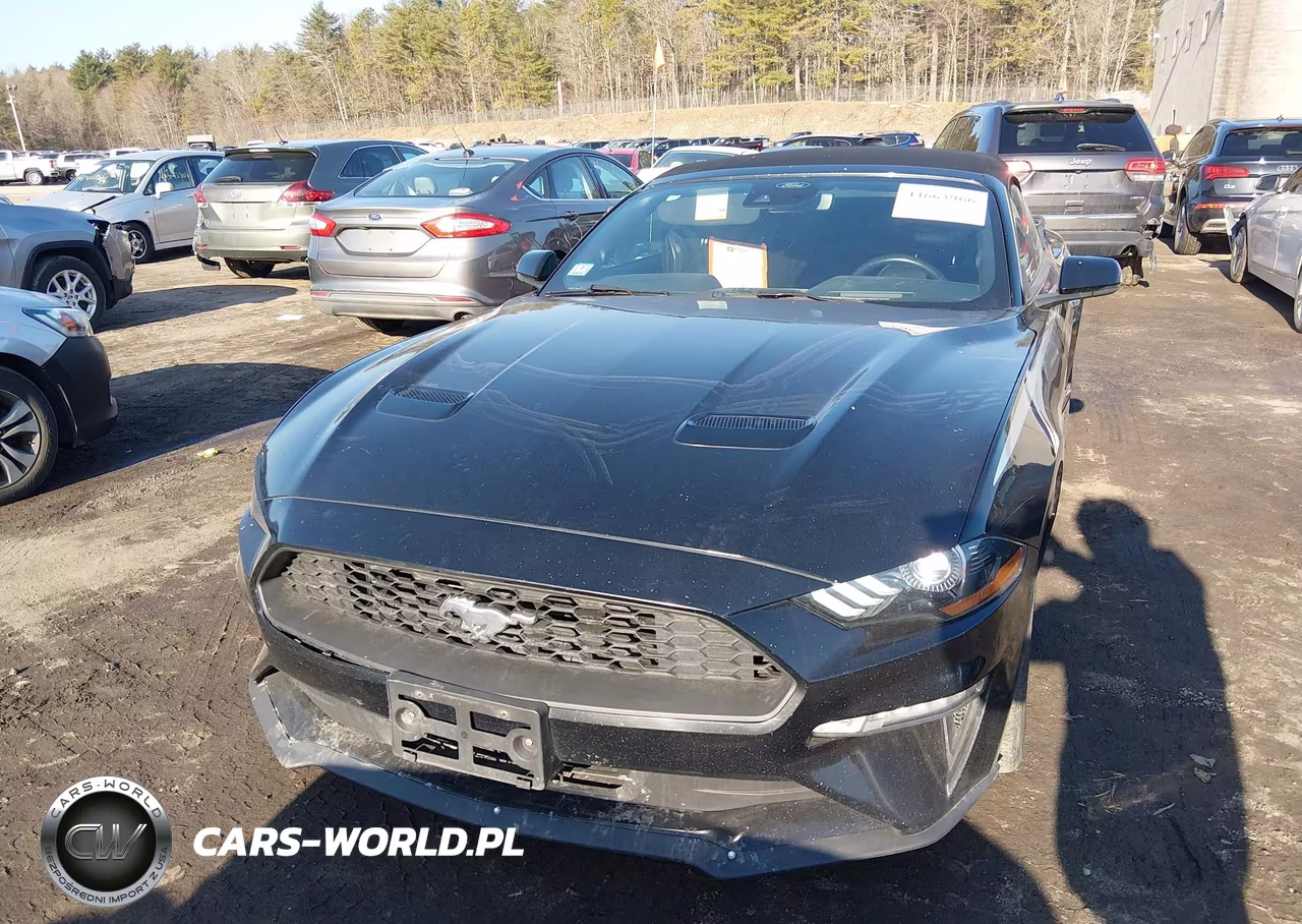 2019 Ford Mustang Ecoboost Premium VIN:1FATP8UH9K5188729 - 13