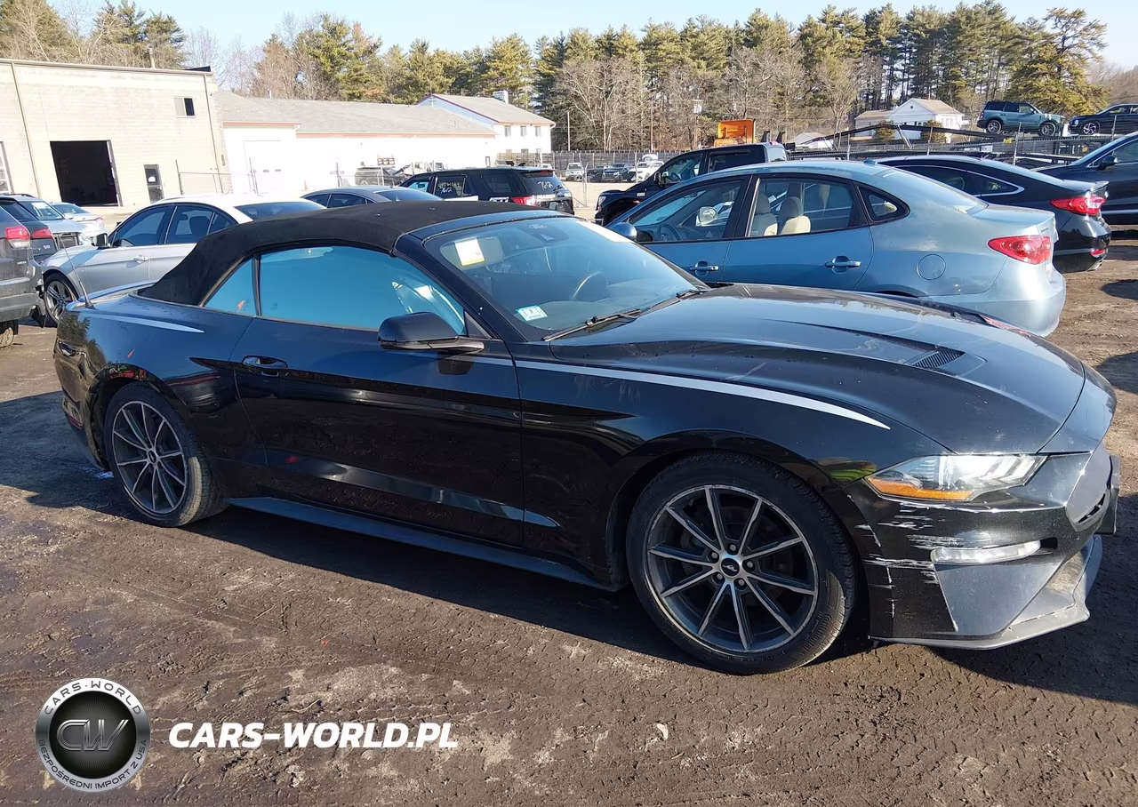 2019 Ford Mustang Ecoboost Premium VIN:1FATP8UH9K5188729 - 14