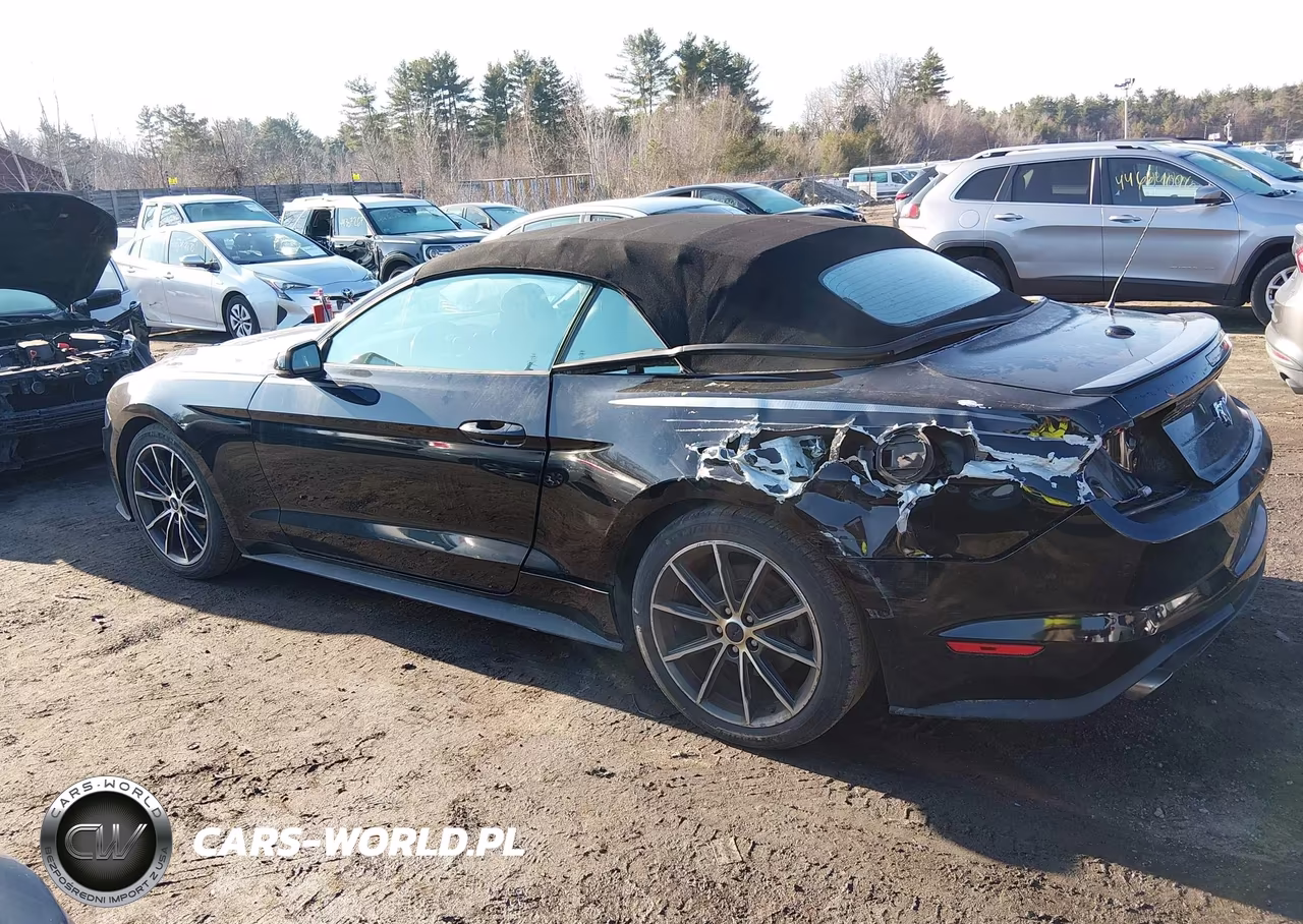 2019 Ford Mustang Ecoboost Premium VIN:1FATP8UH9K5188729 - 15