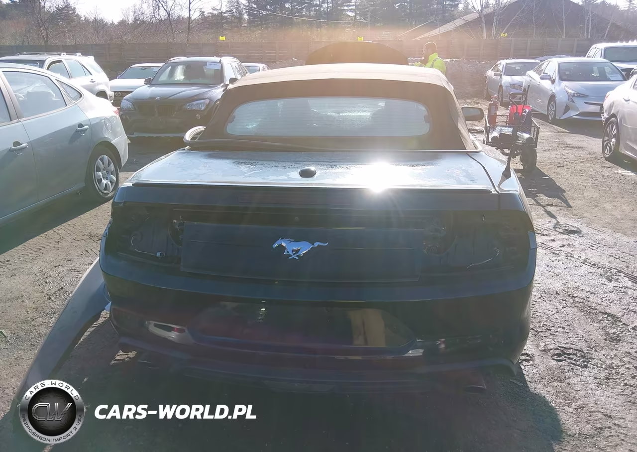 2019 Ford Mustang Ecoboost Premium VIN:1FATP8UH9K5188729 - 17