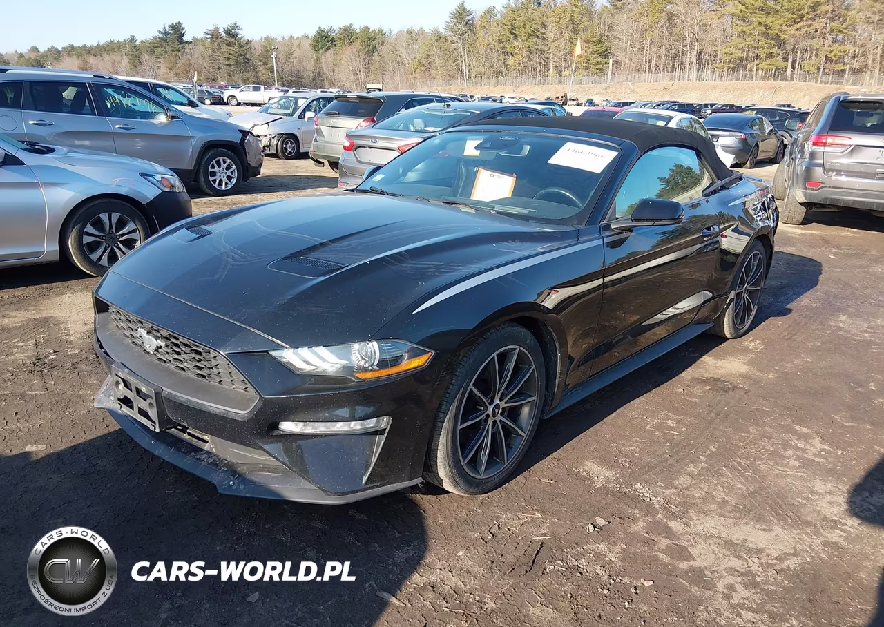 2019 Ford Mustang Ecoboost Premium VIN:1FATP8UH9K5188729 - 2