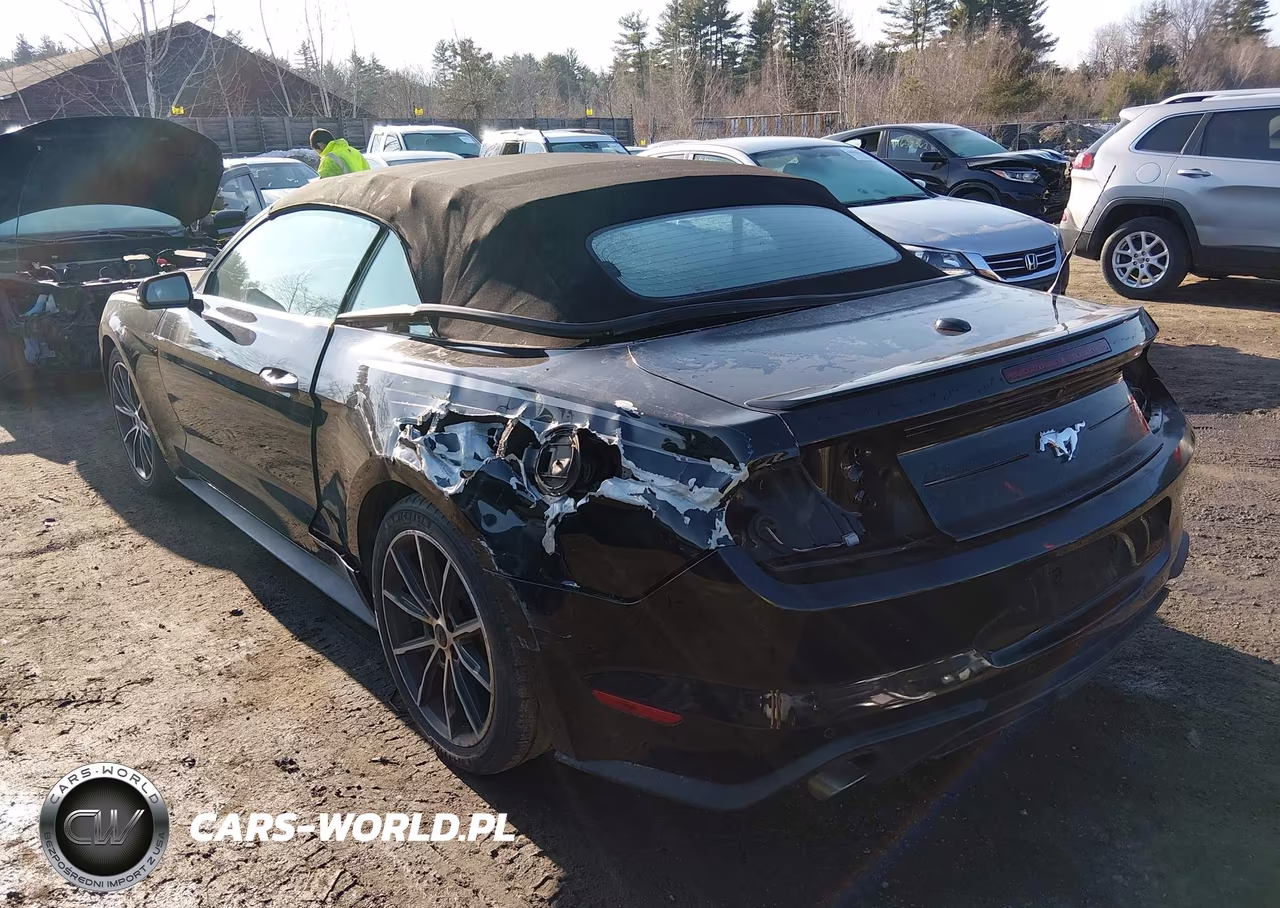 2019 Ford Mustang Ecoboost Premium VIN:1FATP8UH9K5188729 - 3