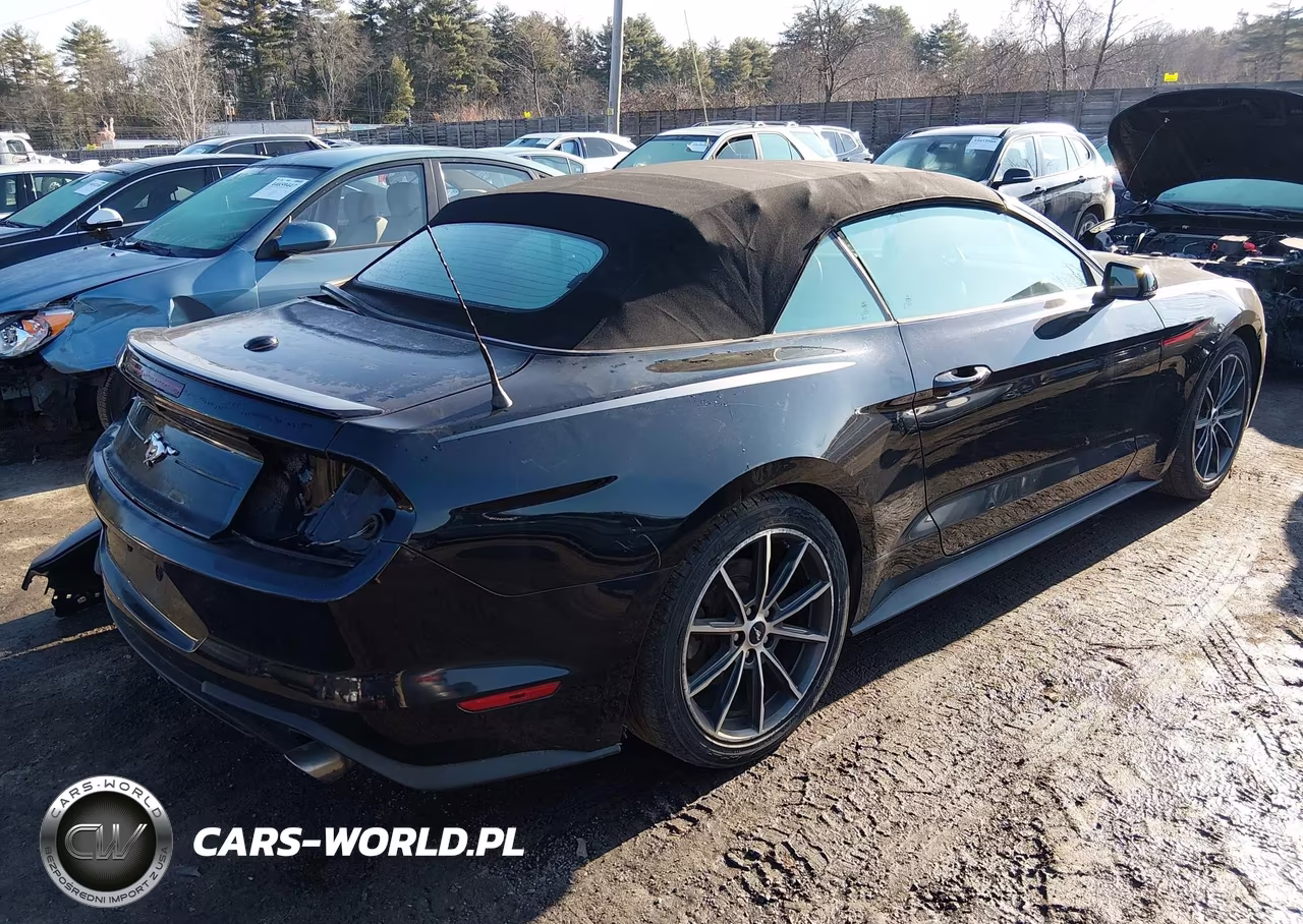 2019 Ford Mustang Ecoboost Premium VIN:1FATP8UH9K5188729 - 4