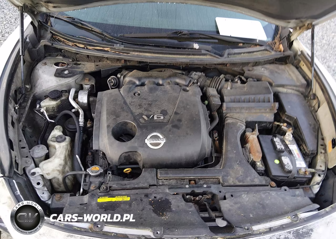 2009 Nissan Maxima 3.5 Sv VIN:1N4AA51E99C811256 - 10