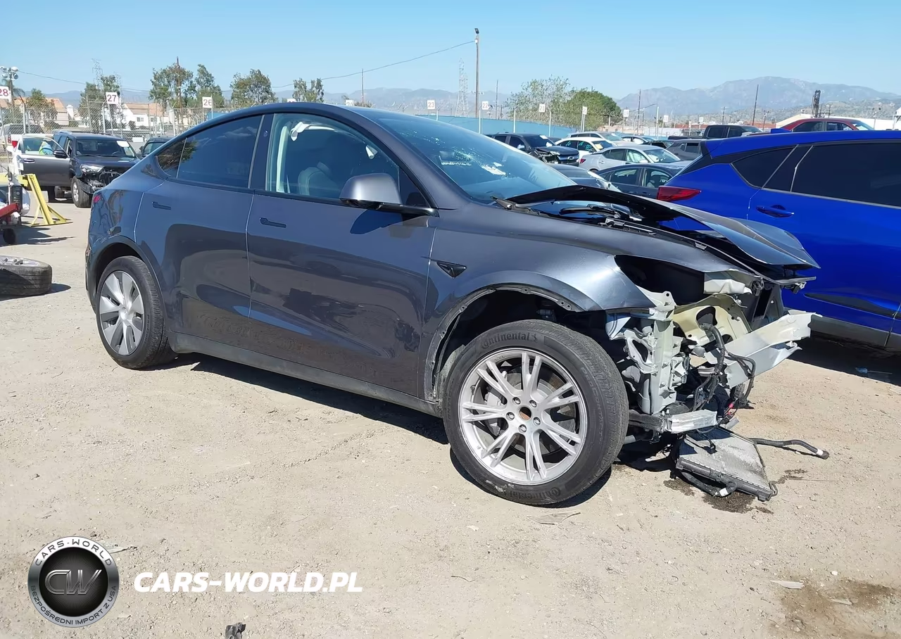 2023 Tesla Model Y Rwd