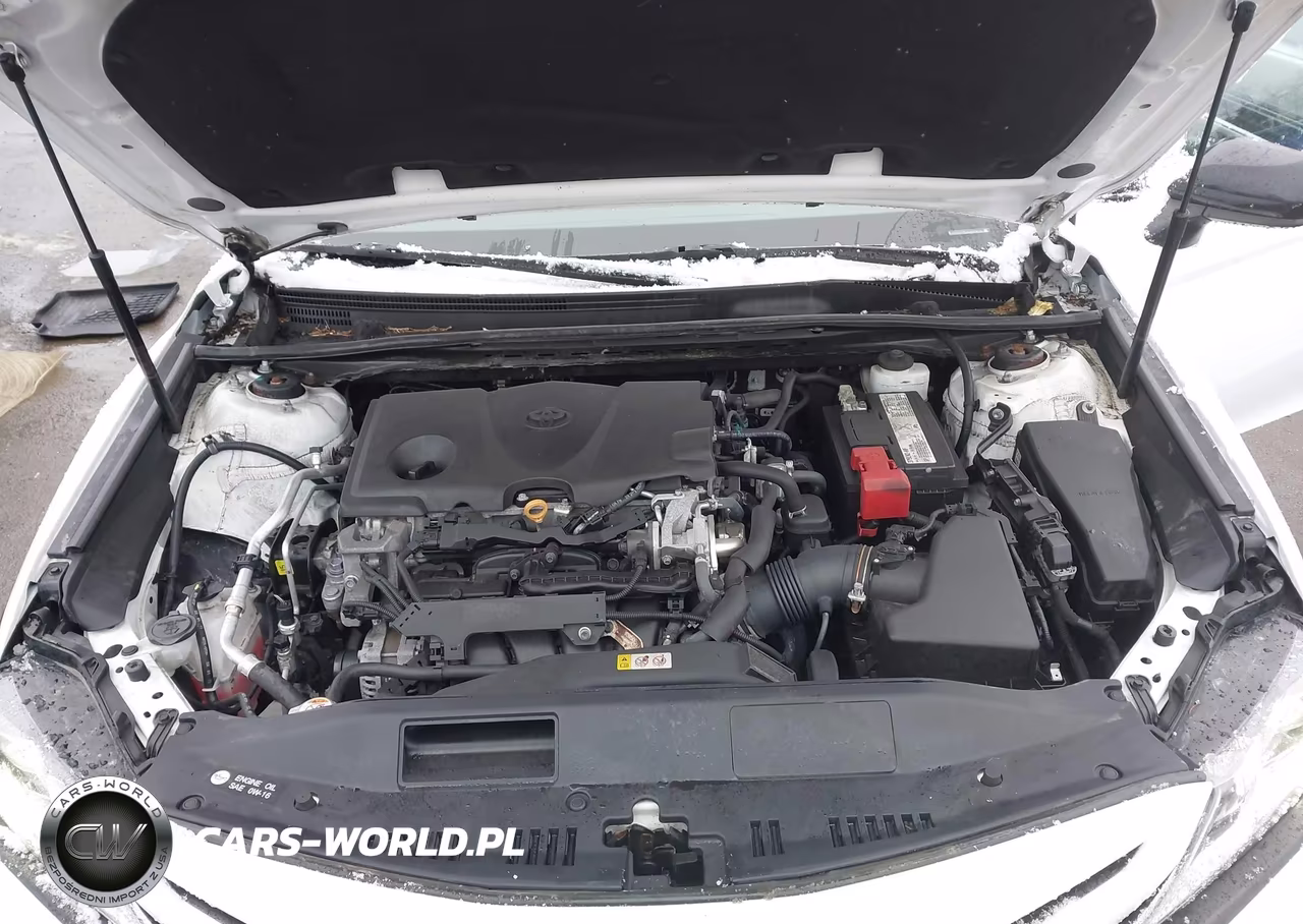 2019 Toyota Camry Se VIN:4T1B11HK2KU284613 - 10
