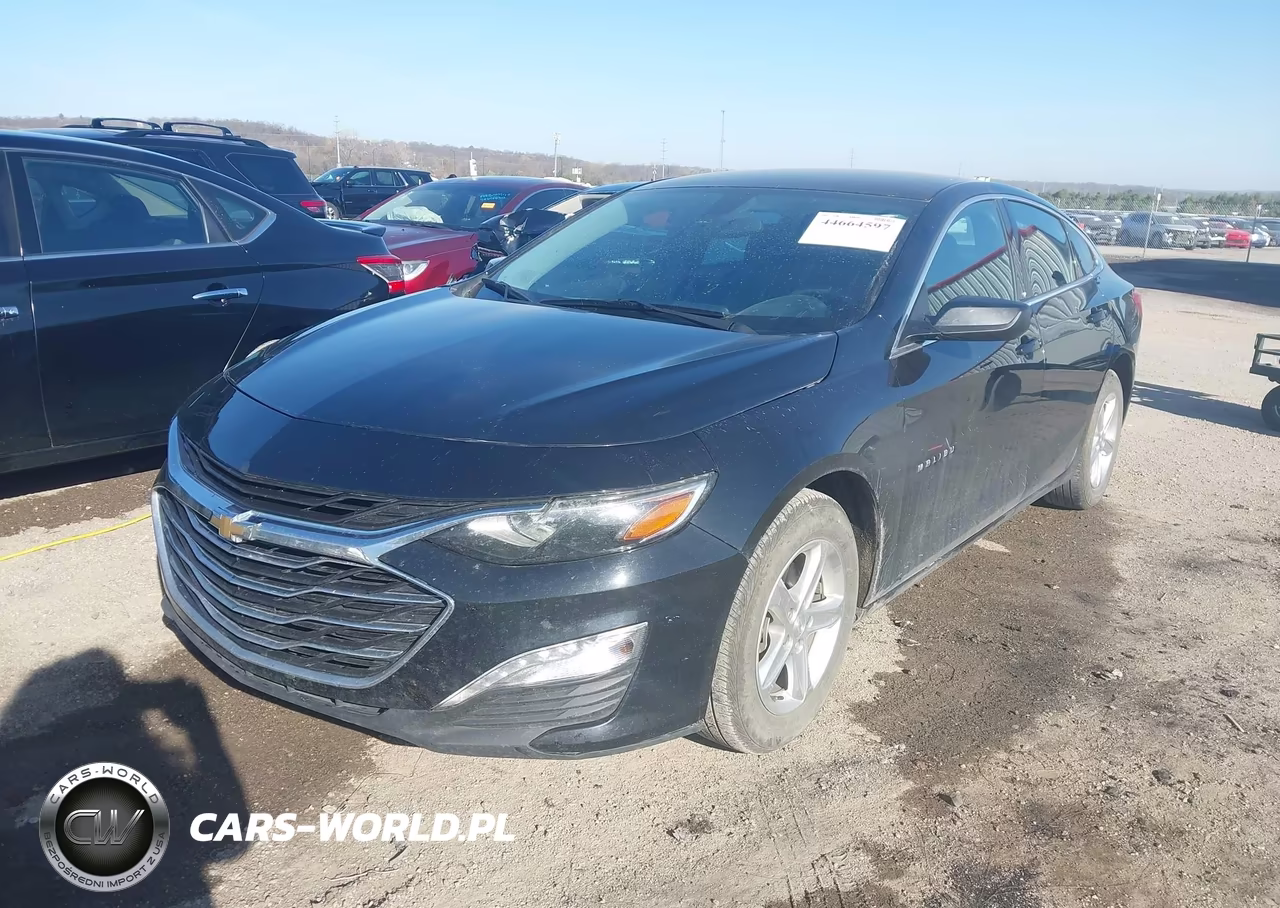 2022 Chevrolet Malibu Fwd Lt VIN:1G1ZD5ST7NF173821 - 2