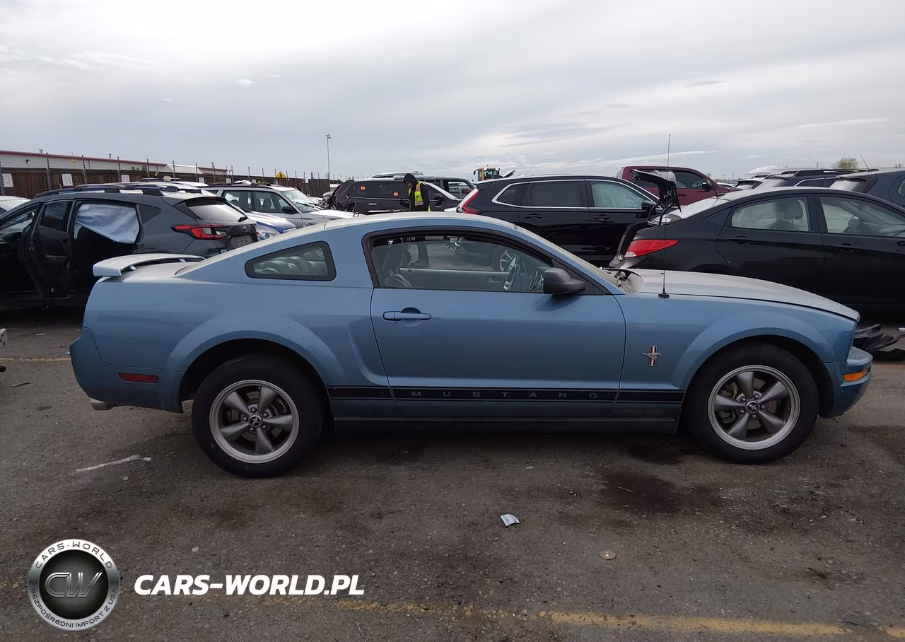 2006 Ford Mustang VIN:1ZVHT80N265162791 - 13