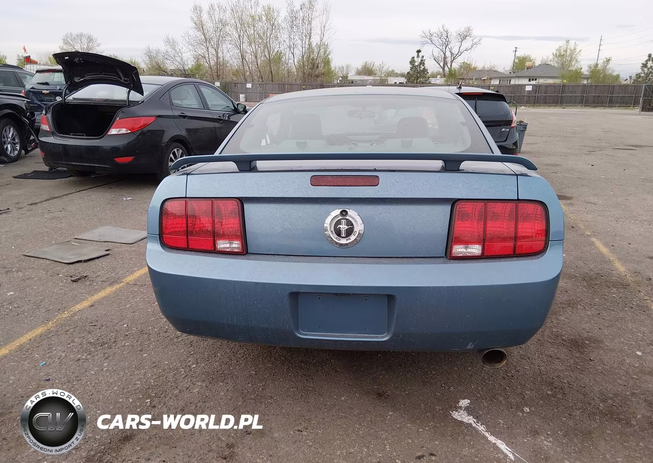 2006 Ford Mustang VIN:1ZVHT80N265162791 - 16