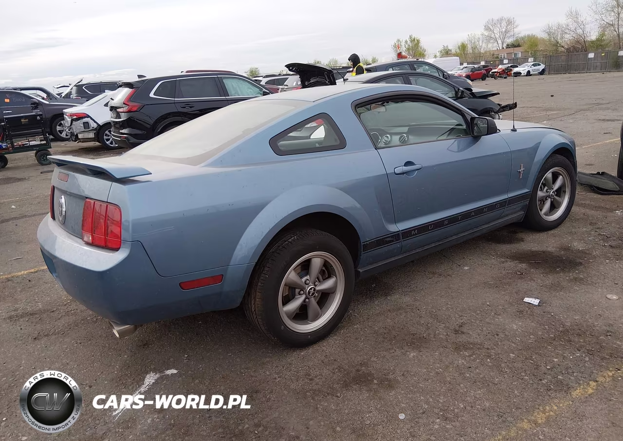 2006 Ford Mustang VIN:1ZVHT80N265162791 - 4