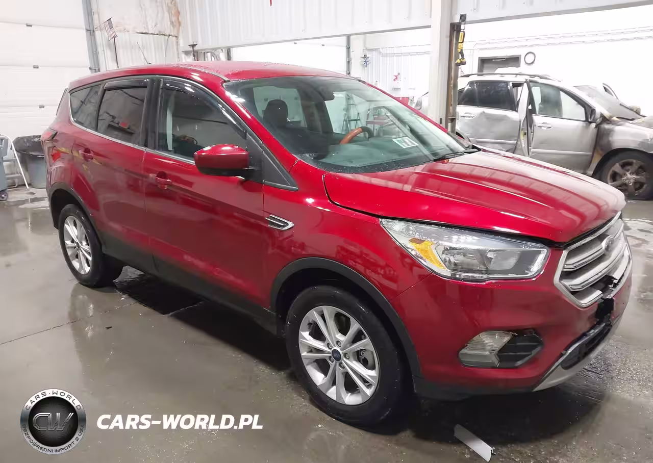 2019 Ford Escape Se