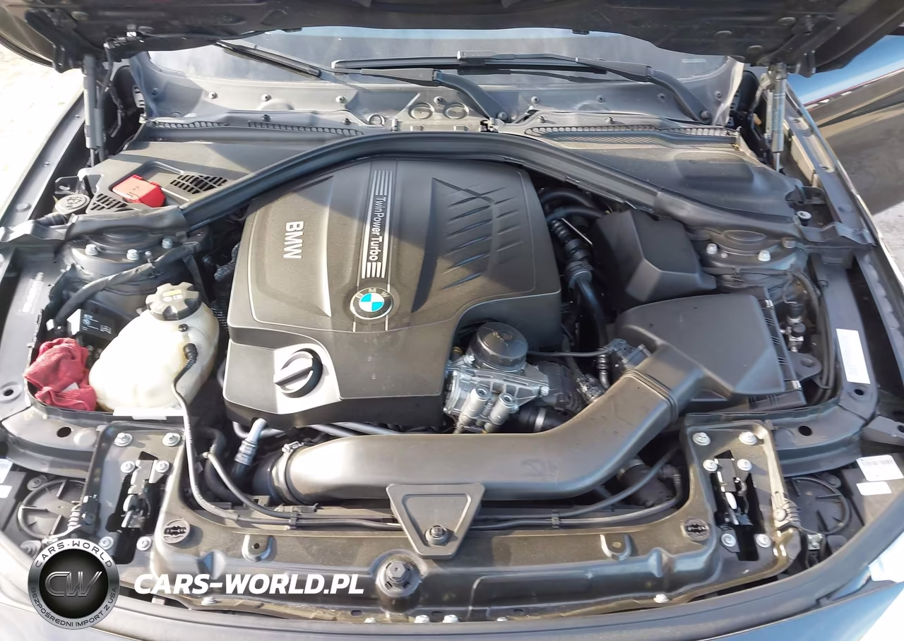 2015 BMW 435I Gran Coupe VIN:WBA4B1C59FG241495 - 10