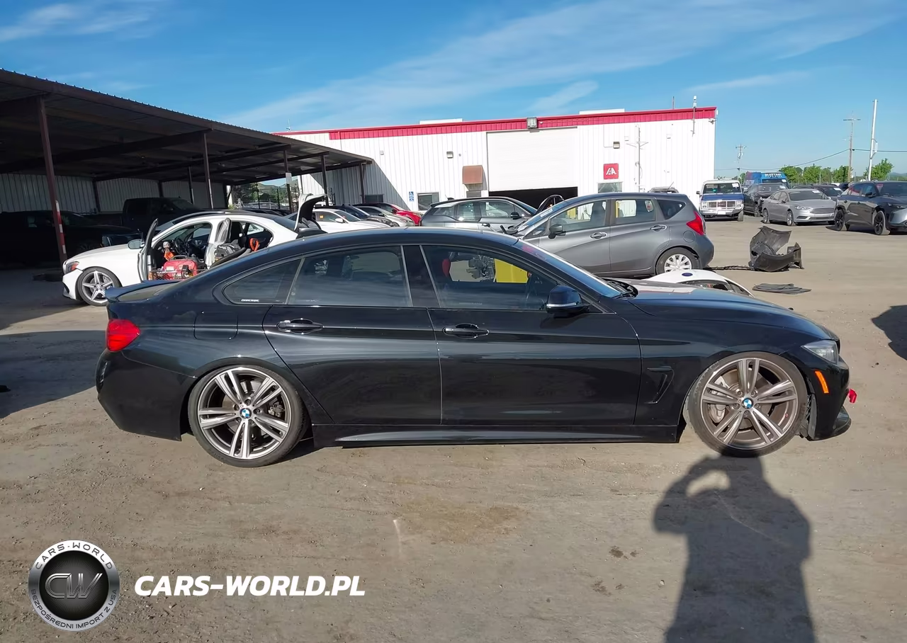 2015 BMW 435I Gran Coupe VIN:WBA4B1C59FG241495 - 13