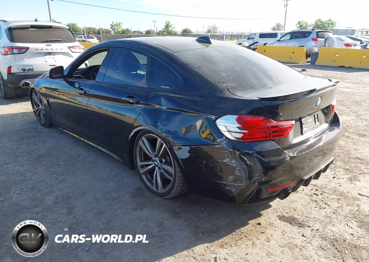 2015 BMW 435I Gran Coupe VIN:WBA4B1C59FG241495 - 3