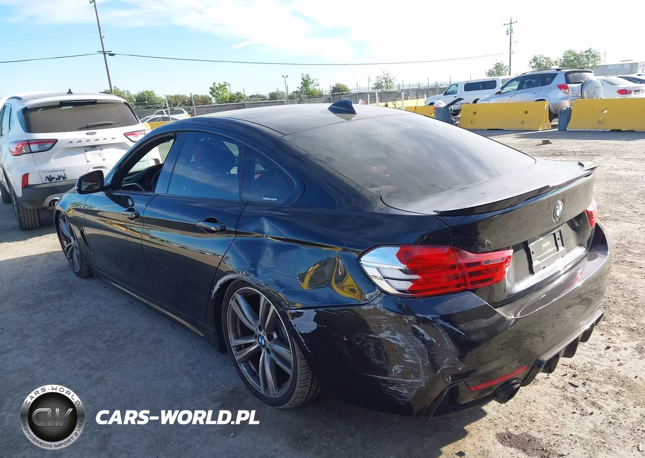2015 BMW 435I Gran Coupe VIN:WBA4B1C59FG241495 - 6