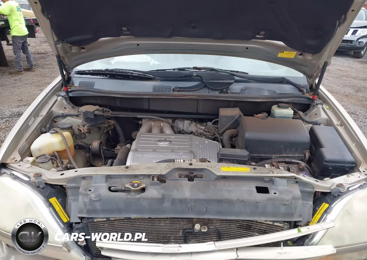 2001 Lexus Rx 300 VIN:JTJHF10UX10214678 - 10