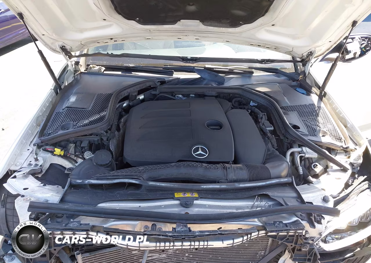 2019 Mercedes-Benz C 300 VIN:55SWF8DB6KU294784 - 10