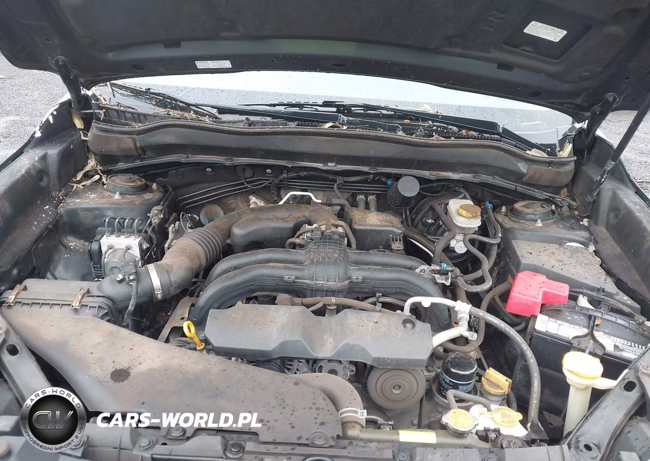 2014 Subaru Forester 2.5I Premium VIN:JF2SJAEC0EH543275 - 10