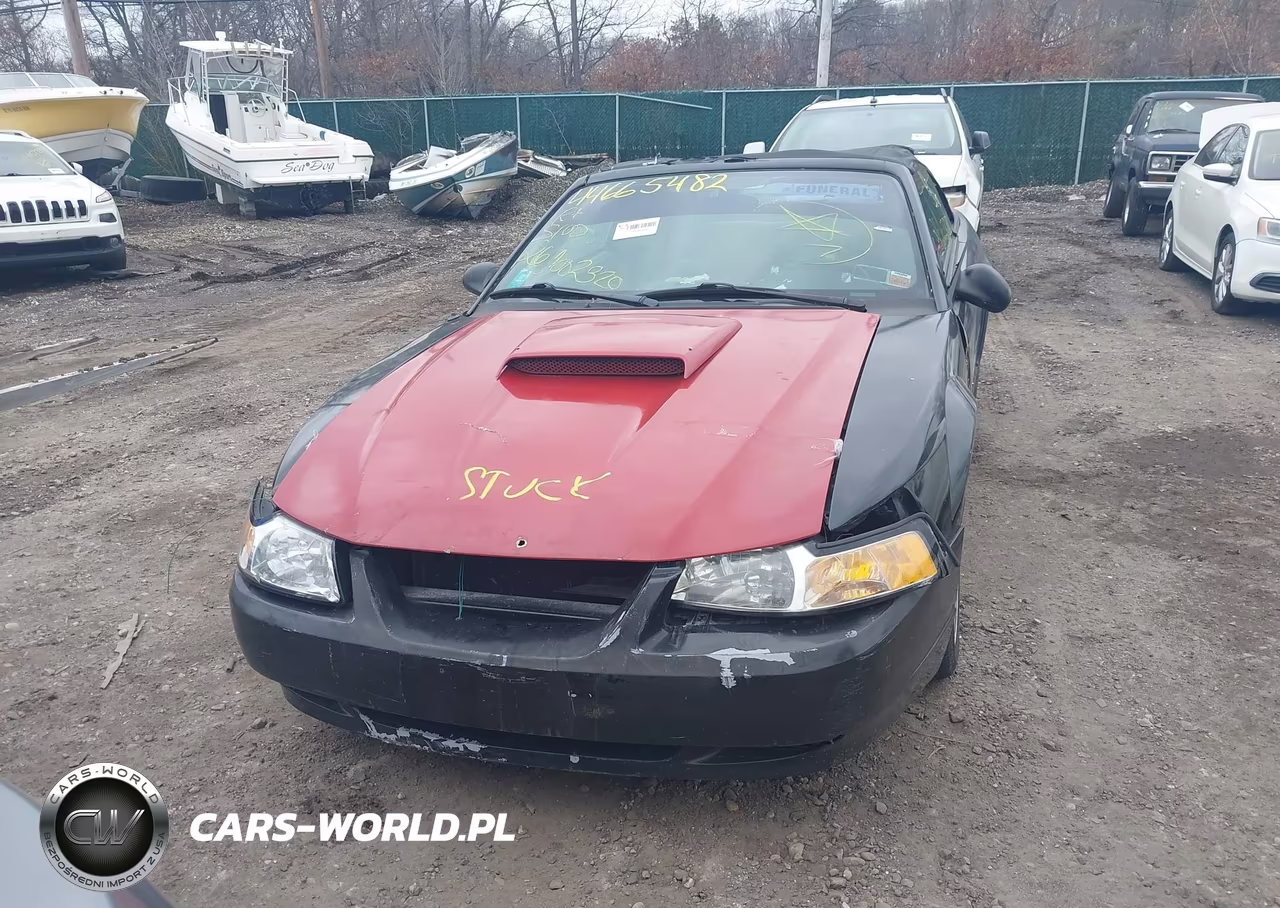 2001 Ford Mustang VIN:1FAFP44431F197731 - 6