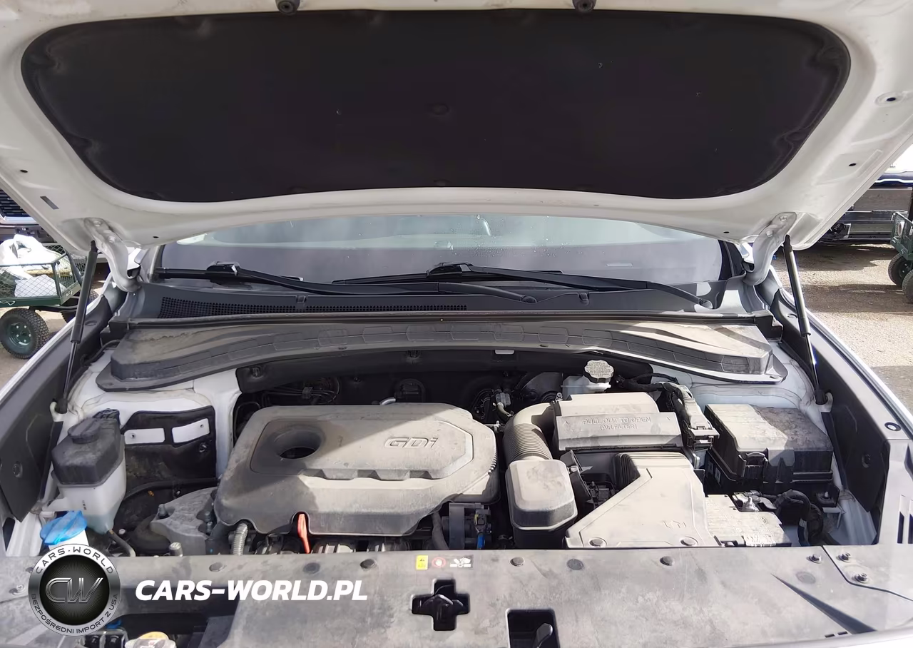 2020 Hyundai Santa Fe Sel VIN:5NMS3CAD9LH202889 - 10
