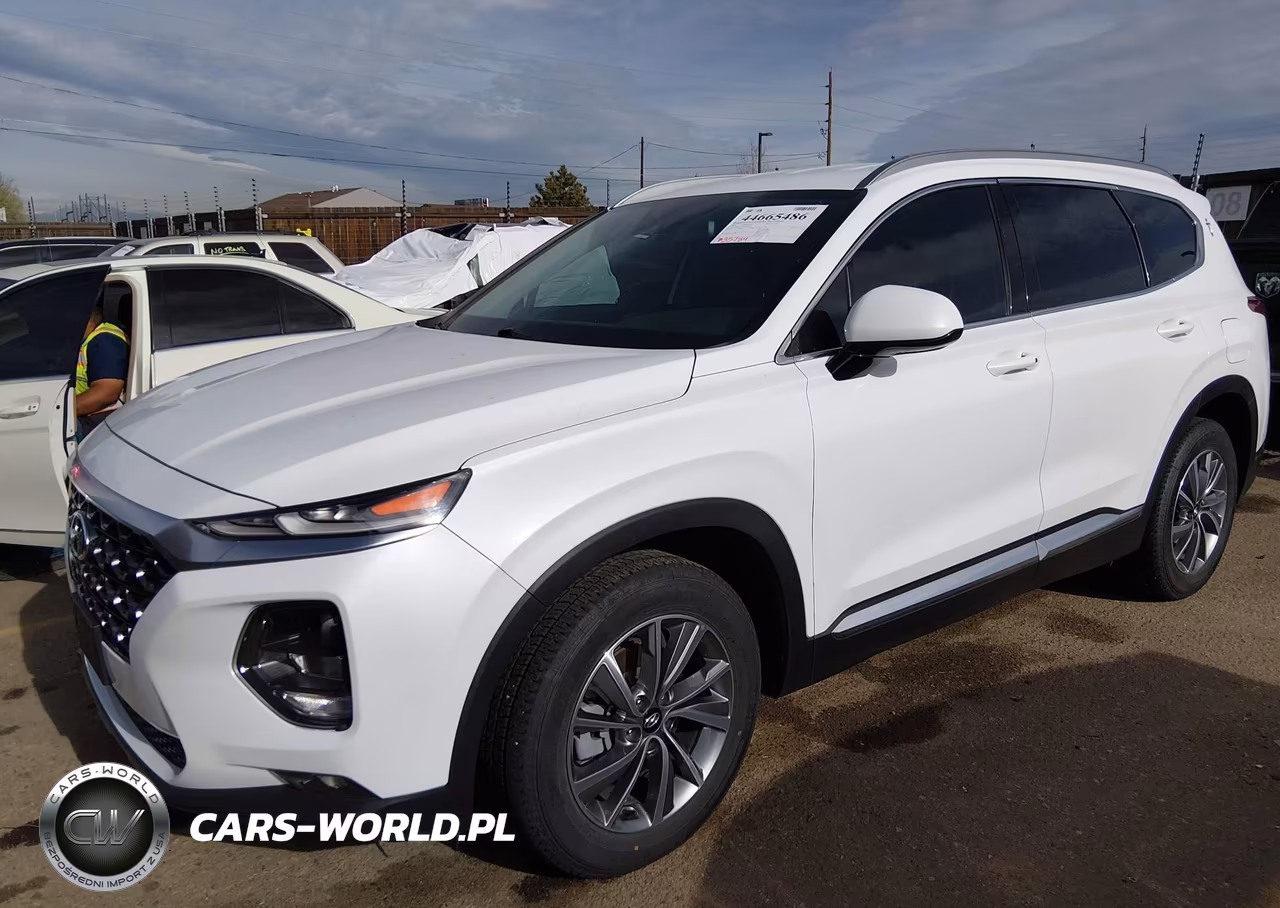 2020 Hyundai Santa Fe Sel VIN:5NMS3CAD9LH202889 - 2