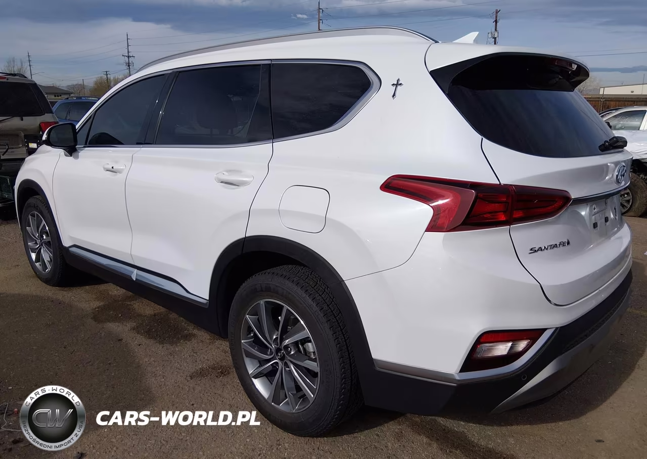 2020 Hyundai Santa Fe Sel VIN:5NMS3CAD9LH202889 - 3