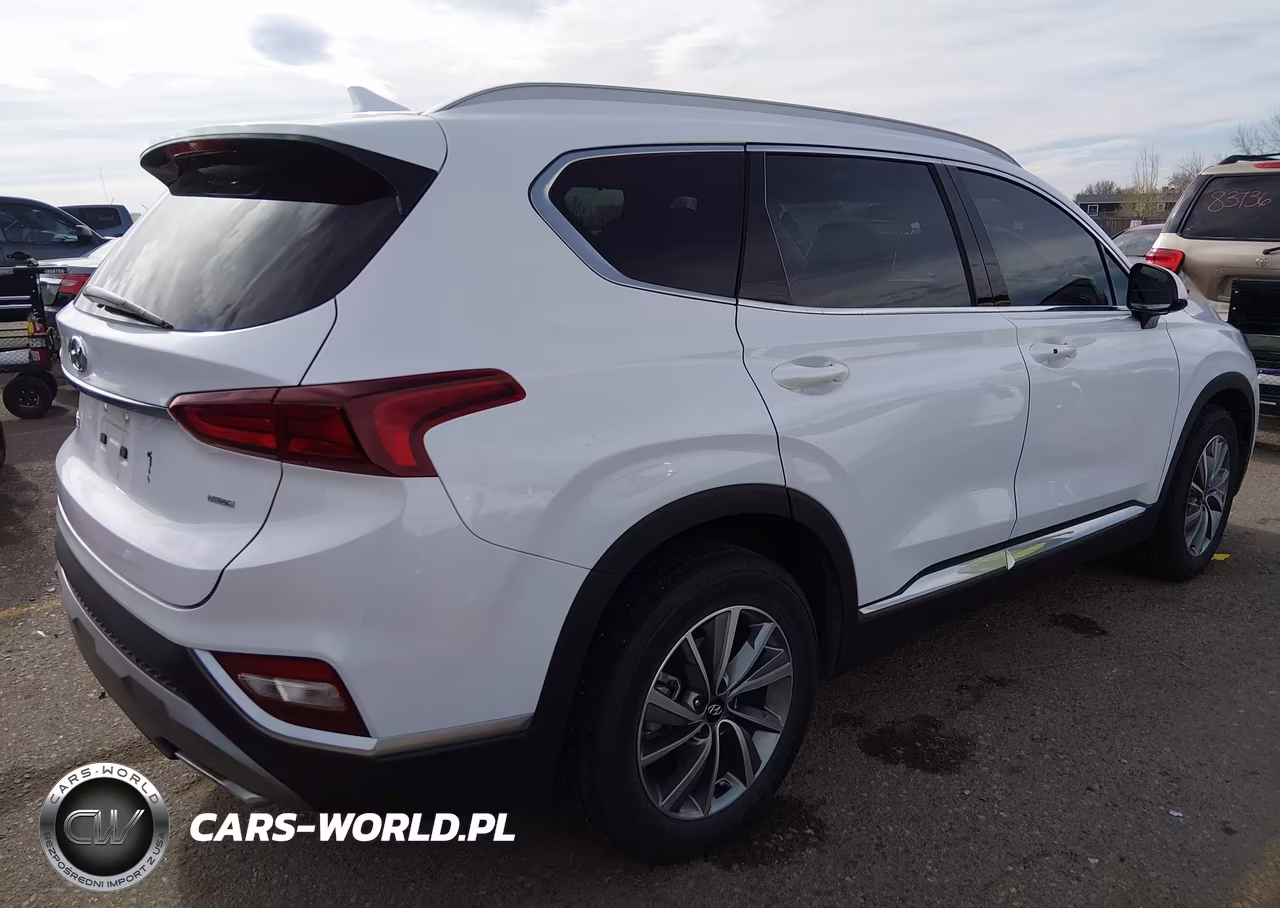 2020 Hyundai Santa Fe Sel VIN:5NMS3CAD9LH202889 - 4