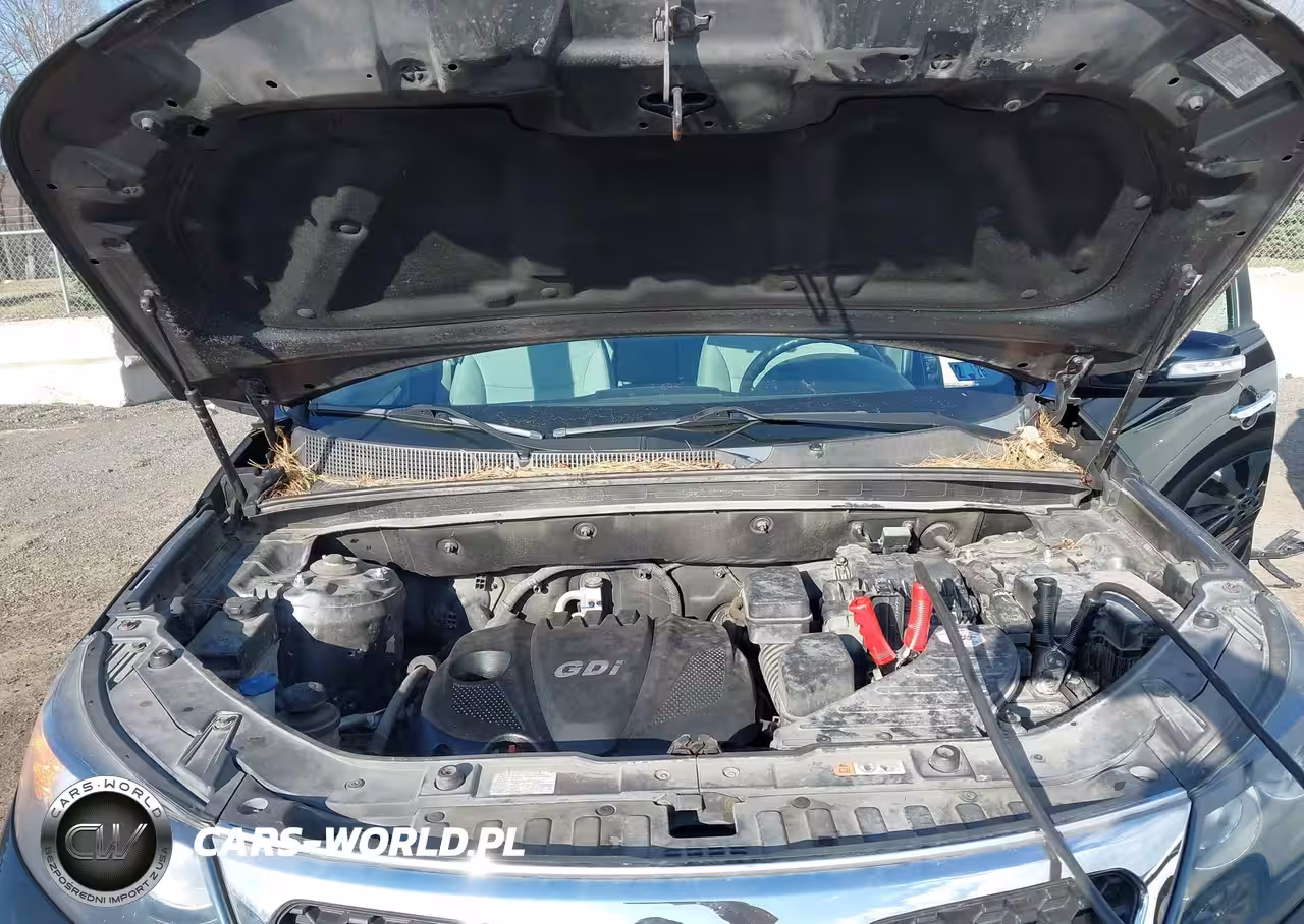 2013 Kia Sorento Lx VIN:5XYKTDA62DG417999 - 10