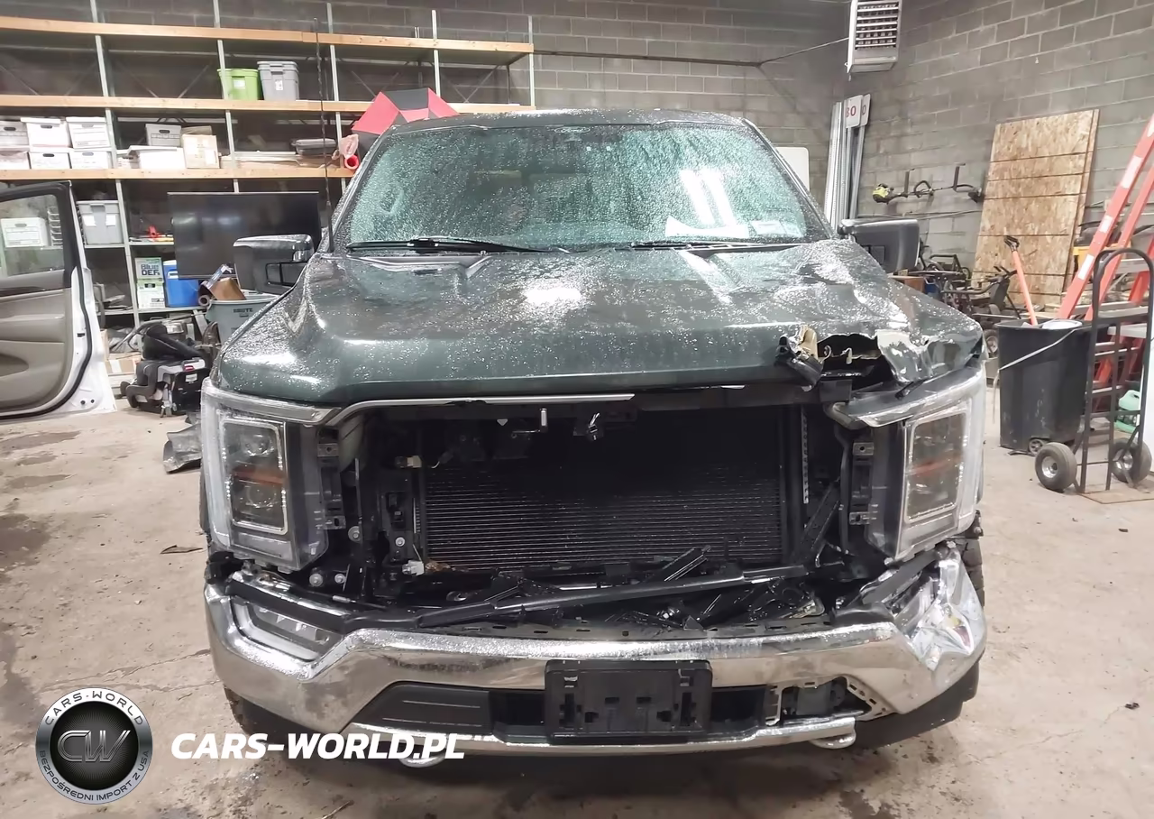 2021 Ford F-150 Lariat VIN:1FTFW1E85MKE16469 - 13