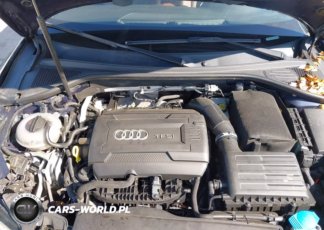 2017 Audi A3 2.0T Premium VIN:WAUB8GFF2H1033803 - 10